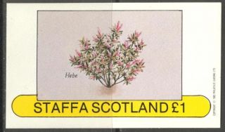 Staffa (br.  Local) 1982 Flowers Iv Hebe S/s 1£ Ns027 photo