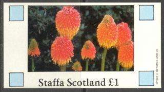Staffa (br.  Local) 1982 Flowers V S/s 1£ Ns028 photo
