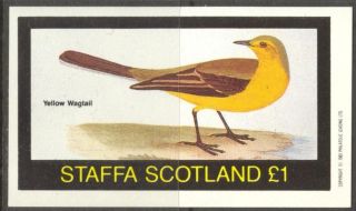 Staffa (br.  Local) 1982 Birds V Yellow Wagtall S/s 1£ Ns050 photo