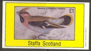 Staffa (br.  Local) 1982 Birds Xi Chatterers/s 1£ Ns056 photo