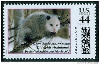 Virginia Opossum (didelphis Virginiana),  Zazzle Stamp/personalized Personalised photo