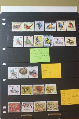 Australian Birds And Animals photo